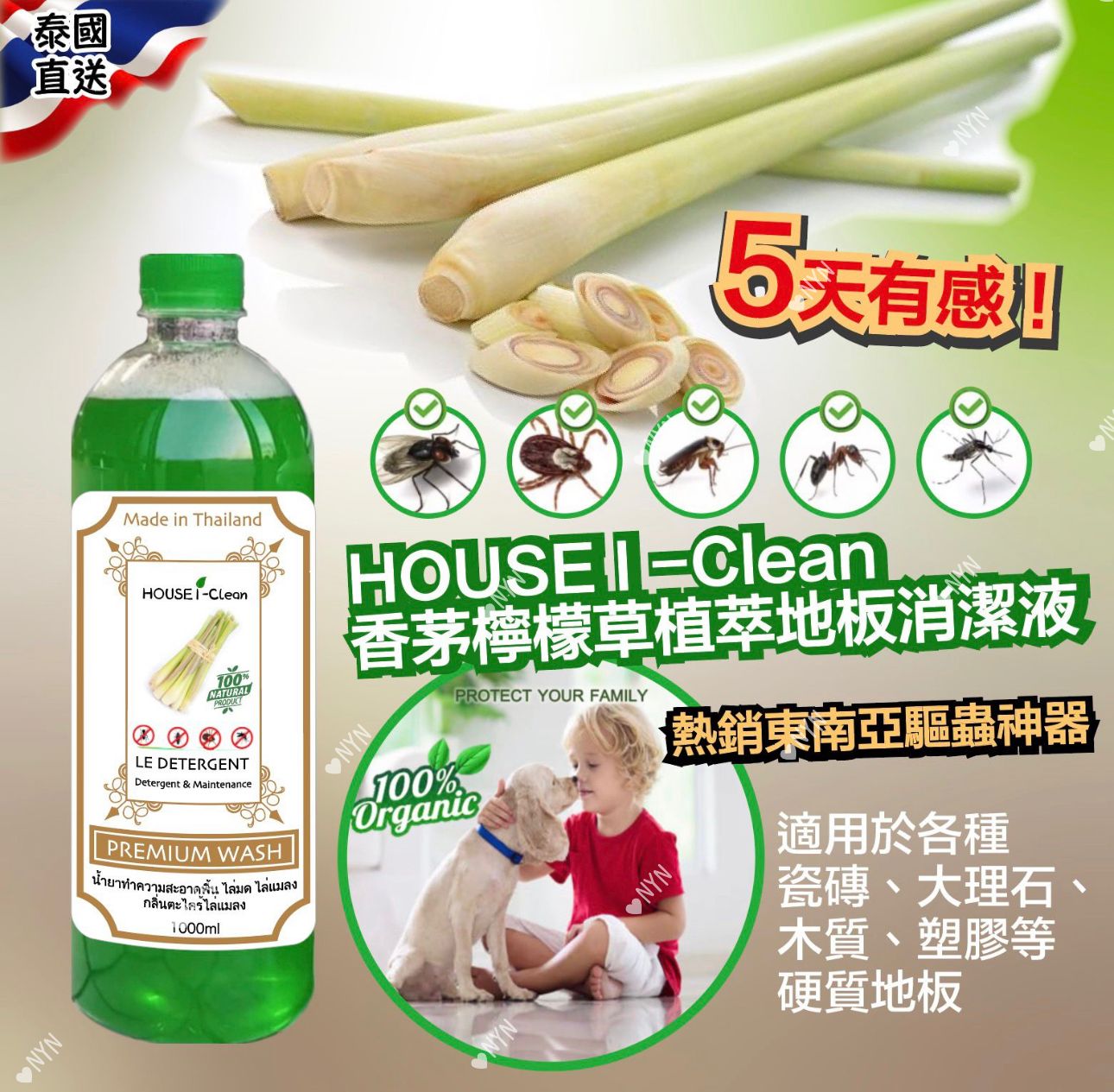 泰國直送🇹🇭 House I-Clean 香茅檸檬草植萃地板驅蟲消潔液 1000ml