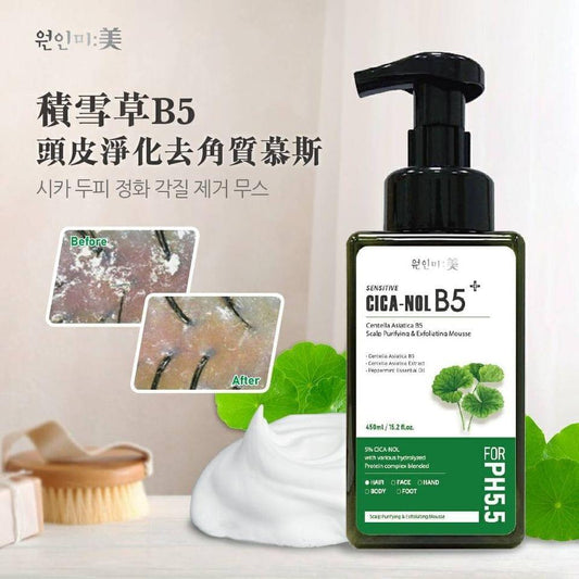 (截單21/5)韓國원인미-積雪草B5頭皮去角質慕斯450ml 8月中